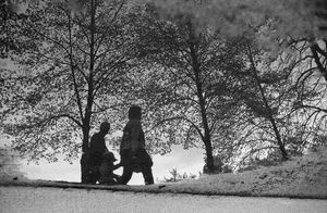 Ménage à domicile Nancy
